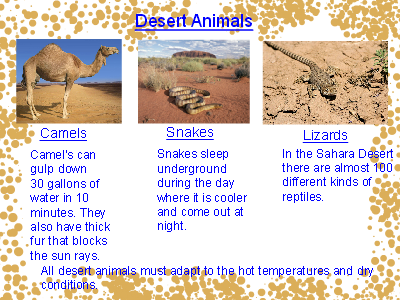 Desert Animals - Wixie Desert Animals - Wixie
